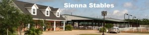 Homes for Rent in Sienna Plantation Missouri City Texas